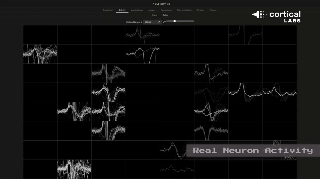 全国榜单揭,新疆多校园,足球特色校,澳客,澳客官方网,官方澳客网,aoke,澳客体育,澳客电脑版