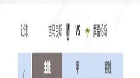 国乒尖兵法兰克福激战，能否逆境扭转乾坤？——环球时报