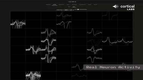 “全国榜单揭晓：新疆多校园足球特色校及幼儿园荣登名录”
